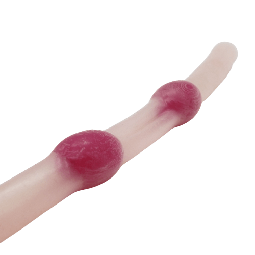 Ectopic pregnancy lap trainer - Medimodels